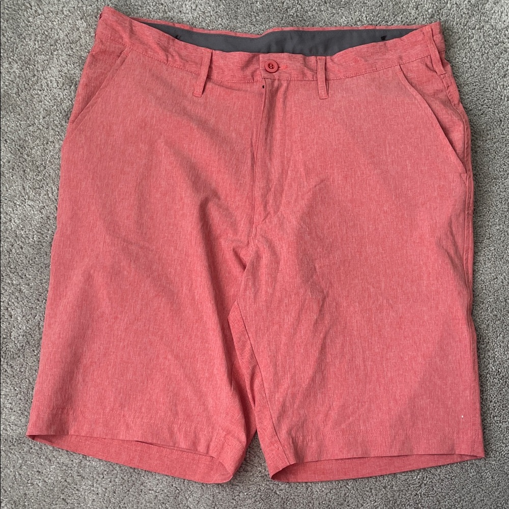 Mountain and Isles Active Shorts